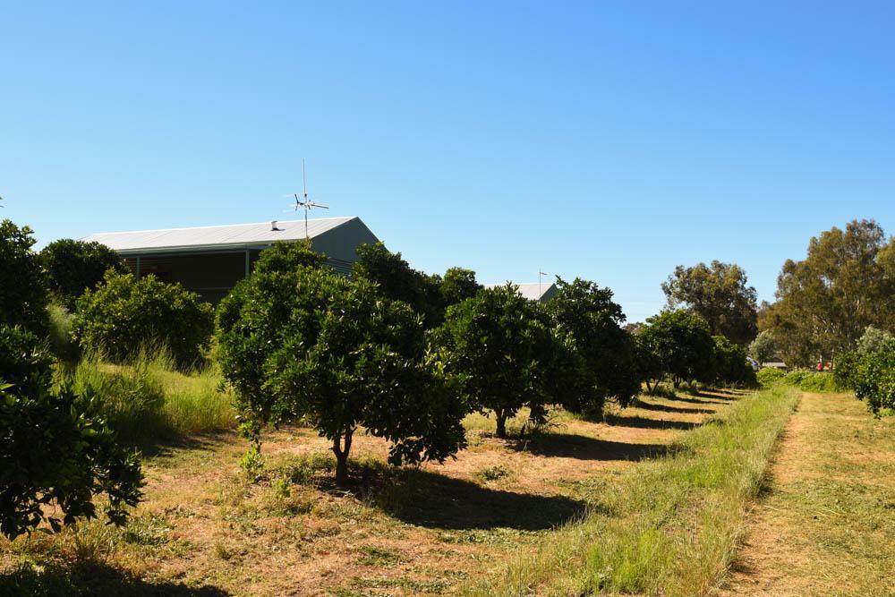 Swan Valley Sisters Henley Brook Exterior foto