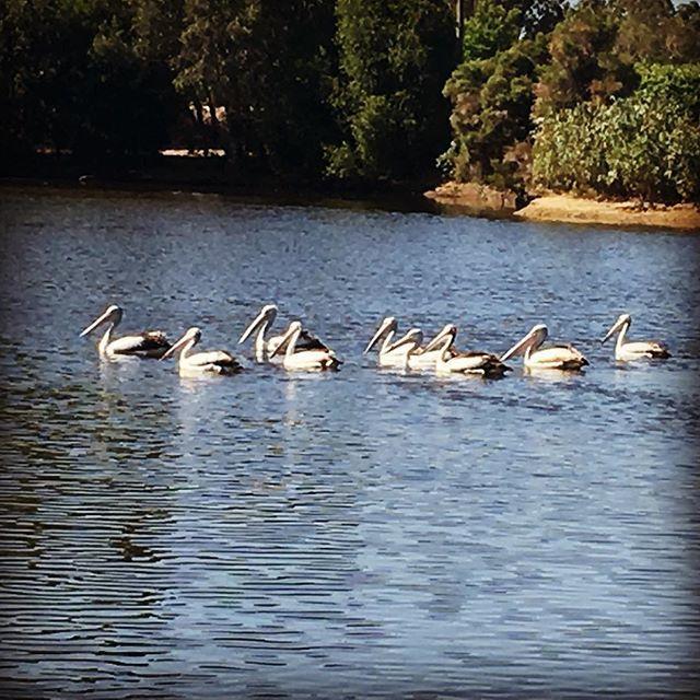 Swan Valley Sisters Henley Brook Exterior foto
